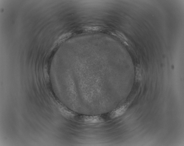X0000067360377200604131822