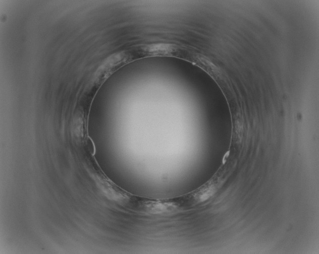 X0000067360379200604131822