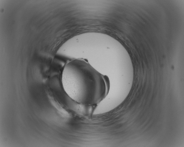 X0000067360380200604131822