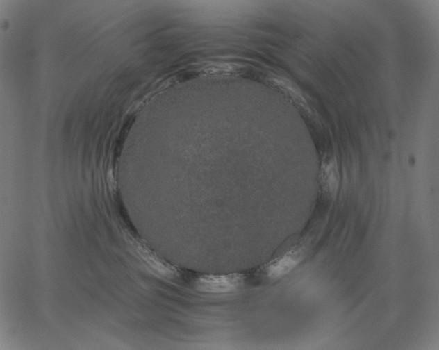 X0000067360381200604131822