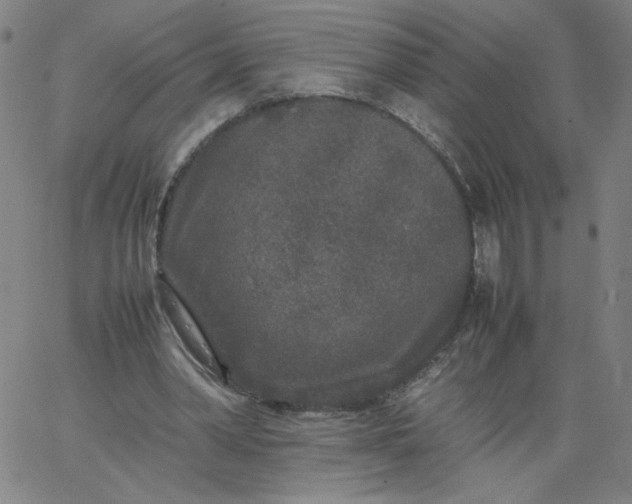 X0000067360390200604131822