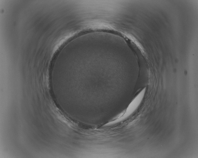 X0000067360391200604131822