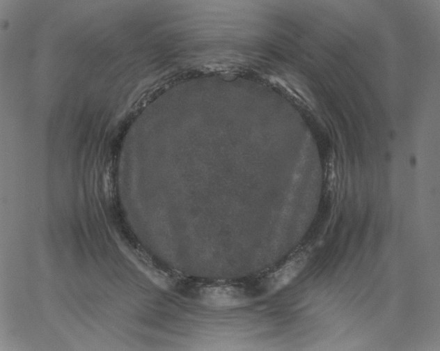 X0000067360408200604131821