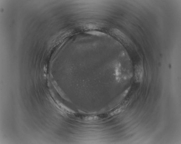 X0000067360410200604131821
