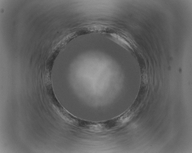 X0000067360411200604131821