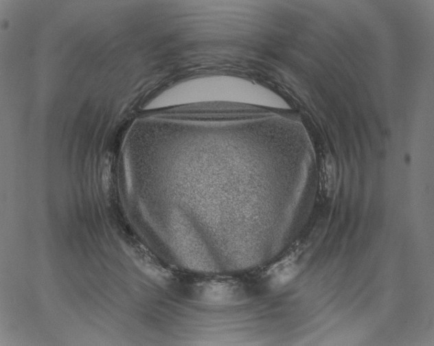 X0000067360412200604131821