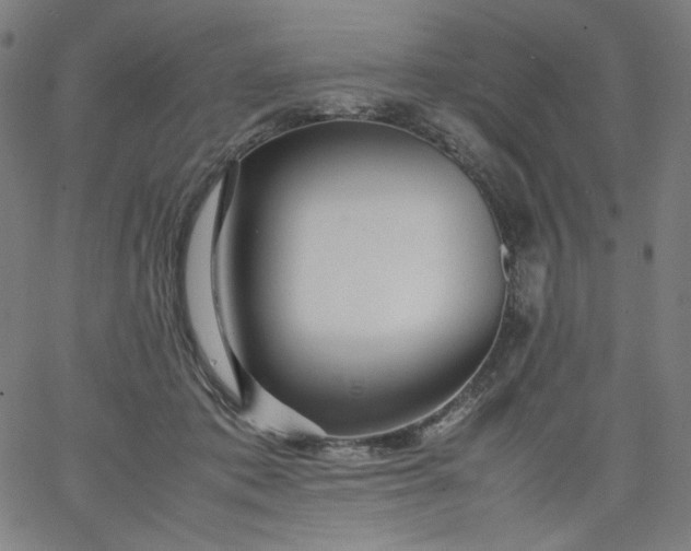 X0000067360413200604131821