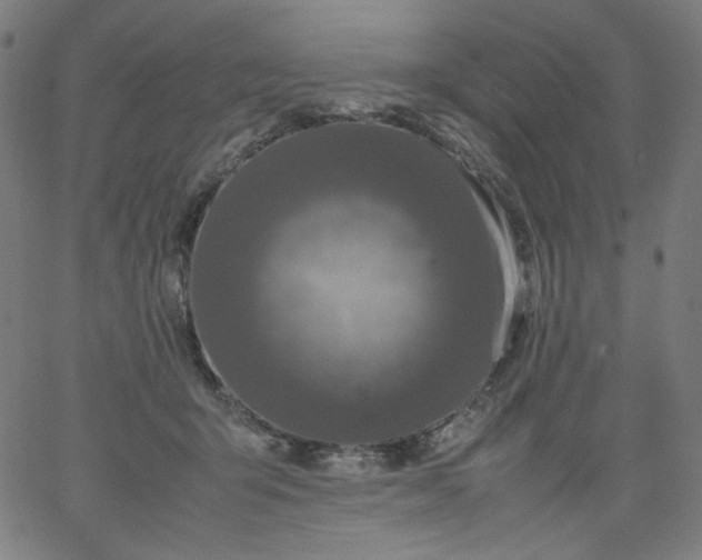 X0000067360415200604131821