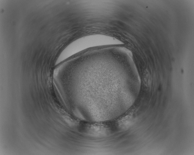 X0000067360420200604131821
