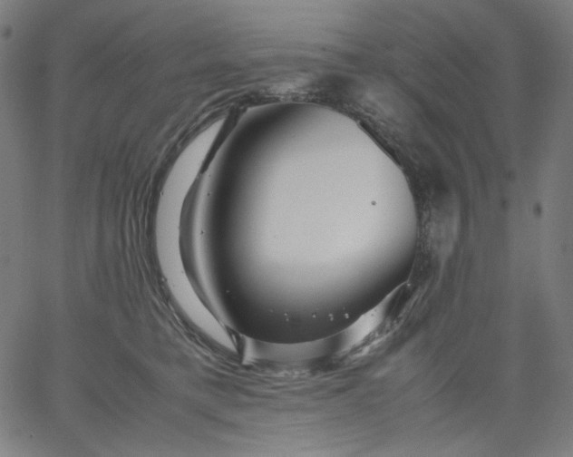 X0000067360421200604131821