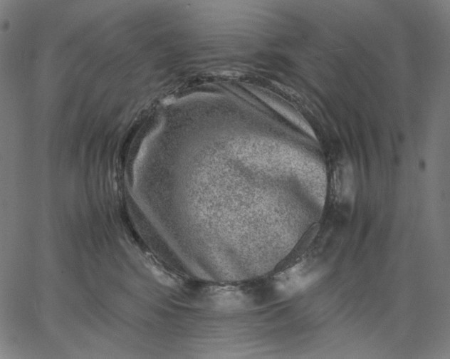 X0000067360424200604131821