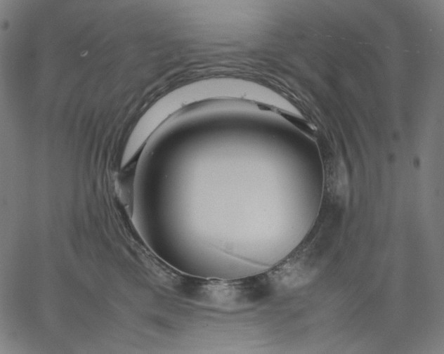 X0000067360425200604131821