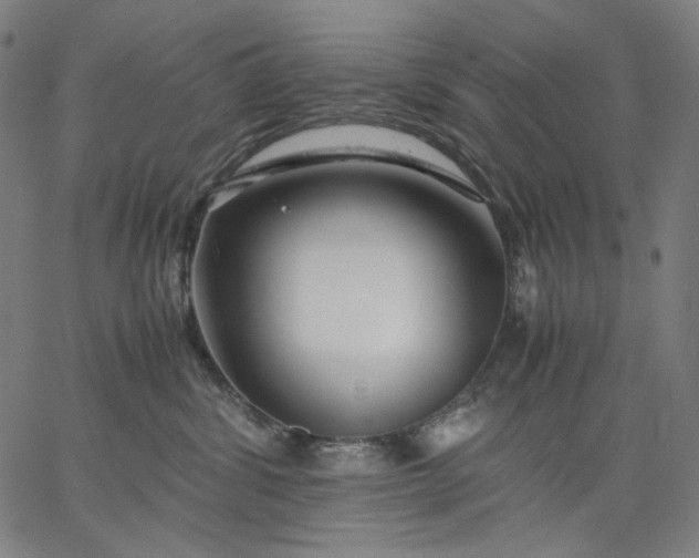 X0000067360428200604131821