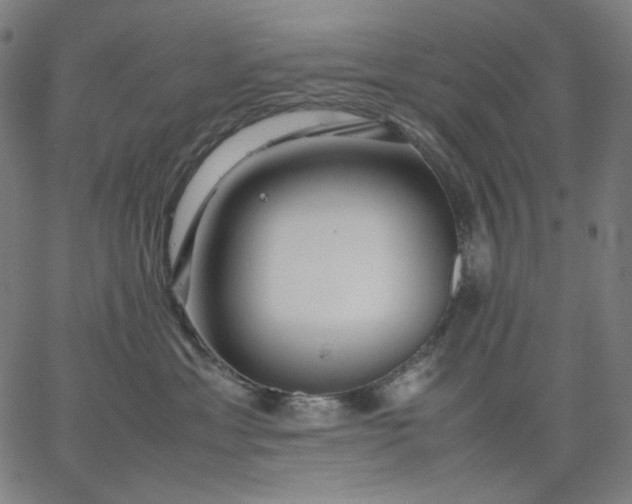 X0000067360429200604131821
