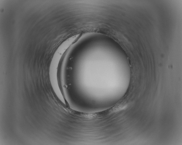 X0000067360432200604131821