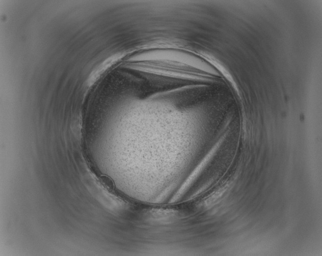 X0000067360437200604131820
