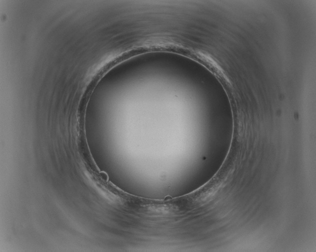 X0000067360439200604131820
