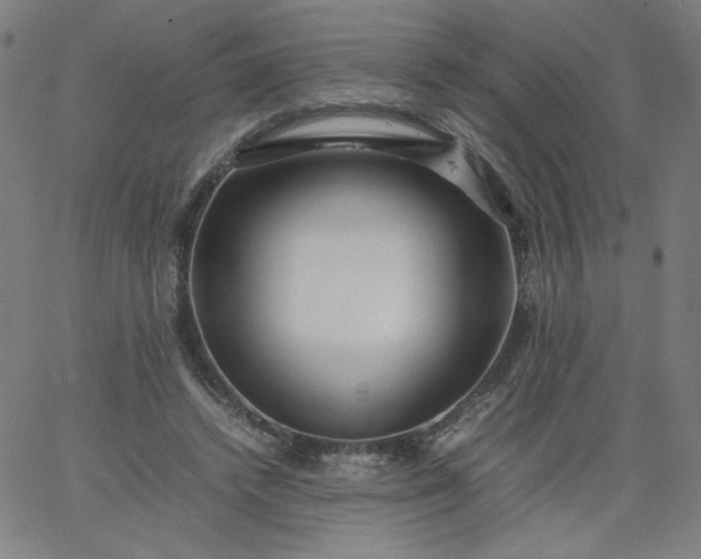 X0000067360448200604131820