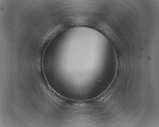 X0000067360450200604131820