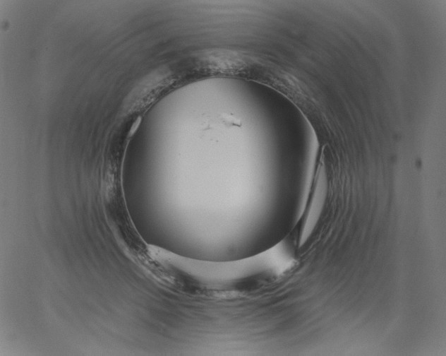 X0000067360456200604131820