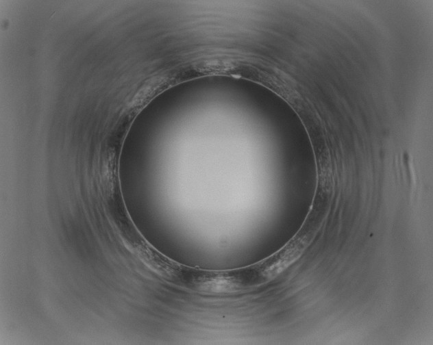 X0000067360460200604131821