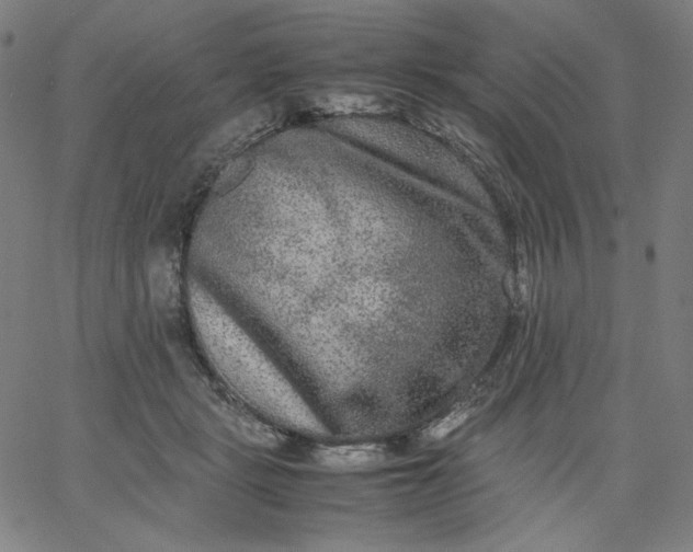 X0000067360461200604131821