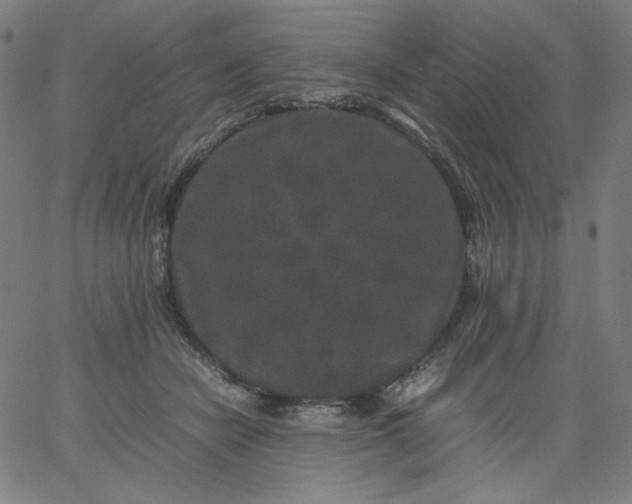 X0000067360462200604131821