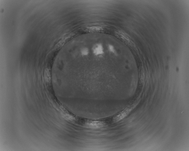 X0000067360467200604131821