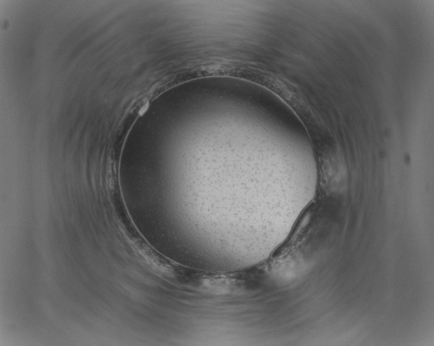 X0000067360470200604131821