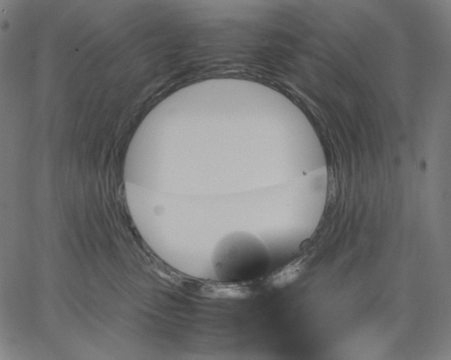 X0000067360475200604131821