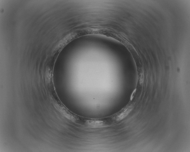 X0000067360476200604131821