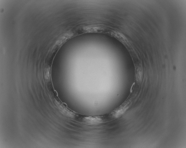 X0000067360477200604131821
