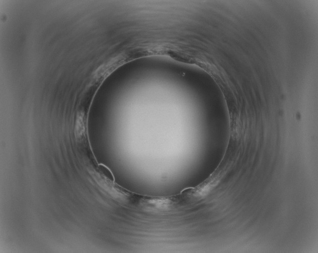 X0000067360478200604131821