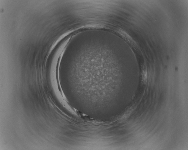 X0000067360484200604131820