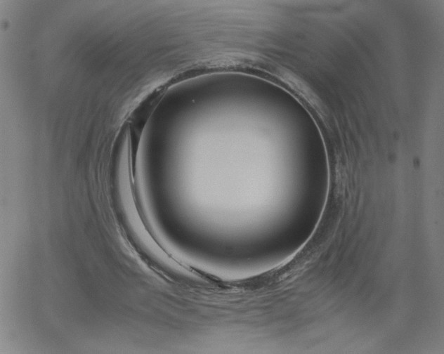 X0000067360485200604131820