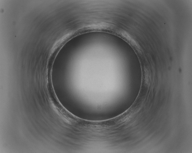 X0000067360486200604131820