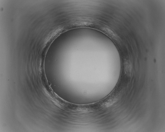 X0000067360490200604131820