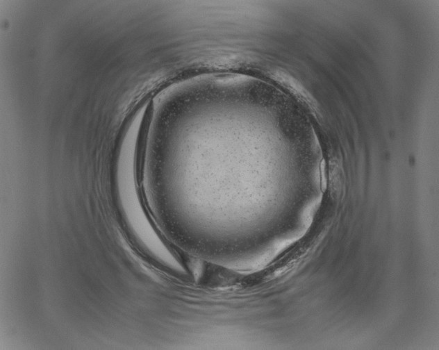 X0000067360493200604131820