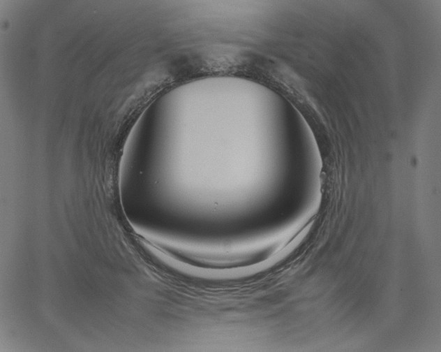 X0000067360505200604131820