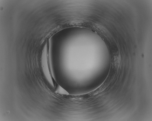X0000067360508200604131820