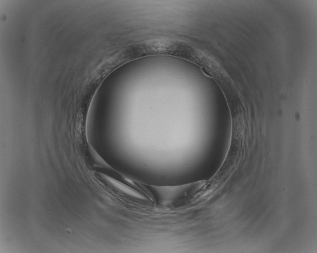 X0000067360509200604131820
