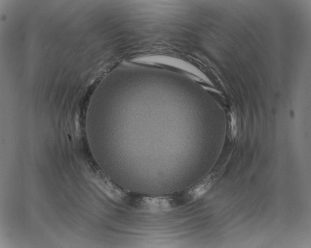 X0000067360520200604131819