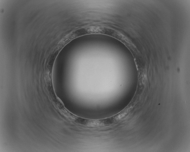 X0000067360521200604131819