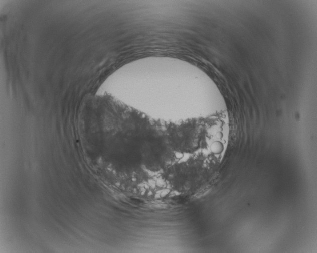 X0000067360523200604131819
