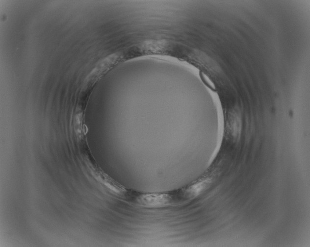 X0000067360526200604131819