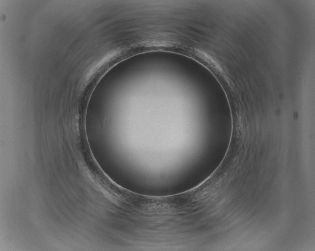 X0000067360535200604131819