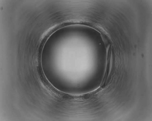 X0000067360536200604131819