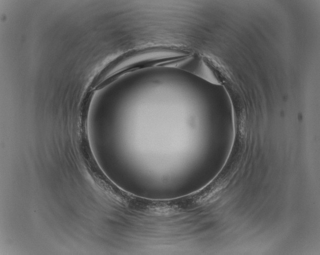 X0000067360540200604131819