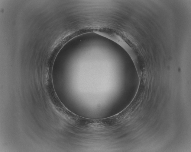 X0000067360544200604131819