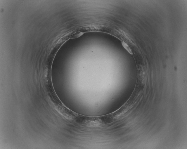 X0000067360548200604131819